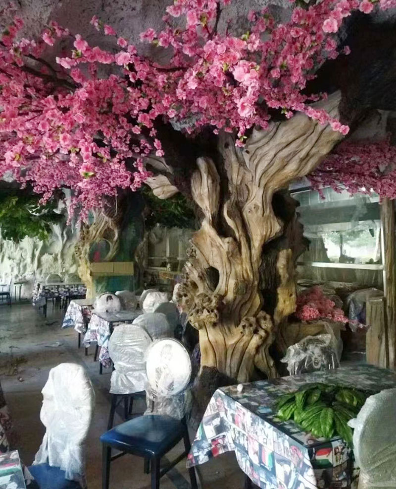 室内国产麻豆视频免费在线树