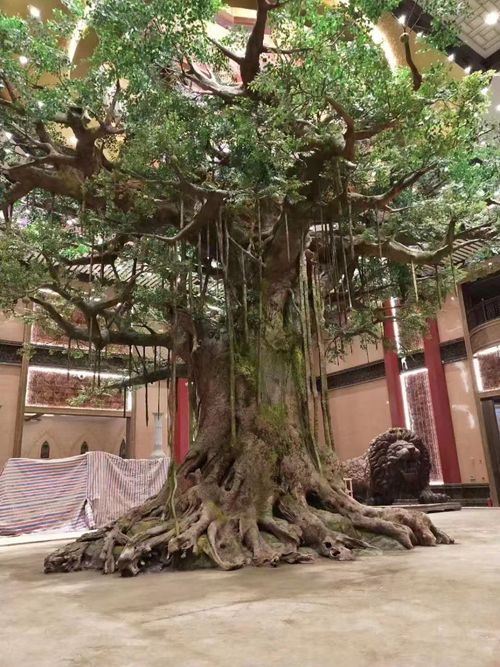 国产麻豆视频免费在线假树造型